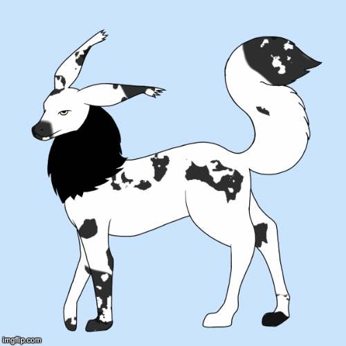 Khundii_Gif.gif
