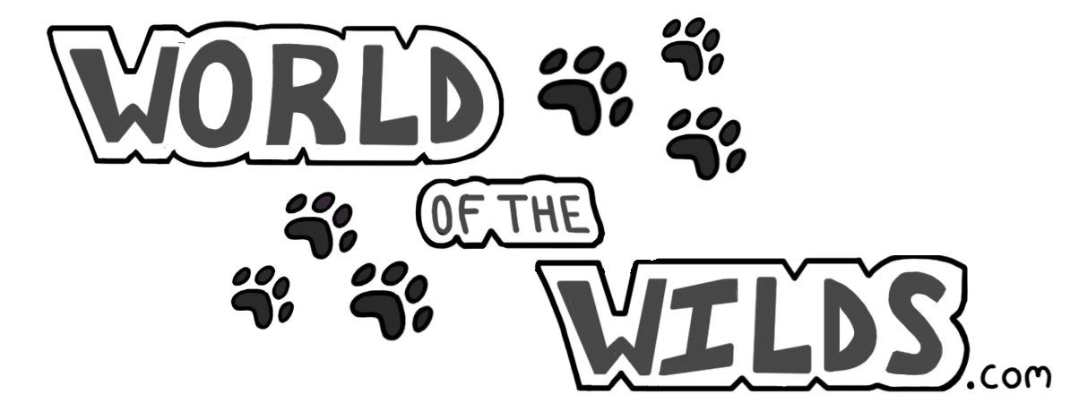 logo.webp