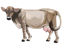 cow-brown-light.webp