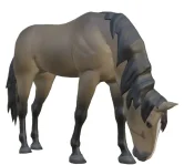 Tobiano