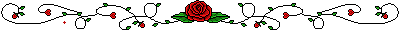 Amourok Banner 1
