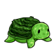 Turtle-Pinata.png