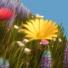 tastetherainbowforegroundii.png