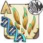 Tertiary Everlux Gene: Nudibranch