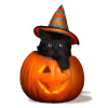 pumpkittnvoid.png
