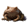 wartytoadbrown.png