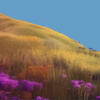 tastetherainbowforegroundi.png