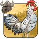 Black and White Rooster