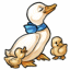 Puddleduck